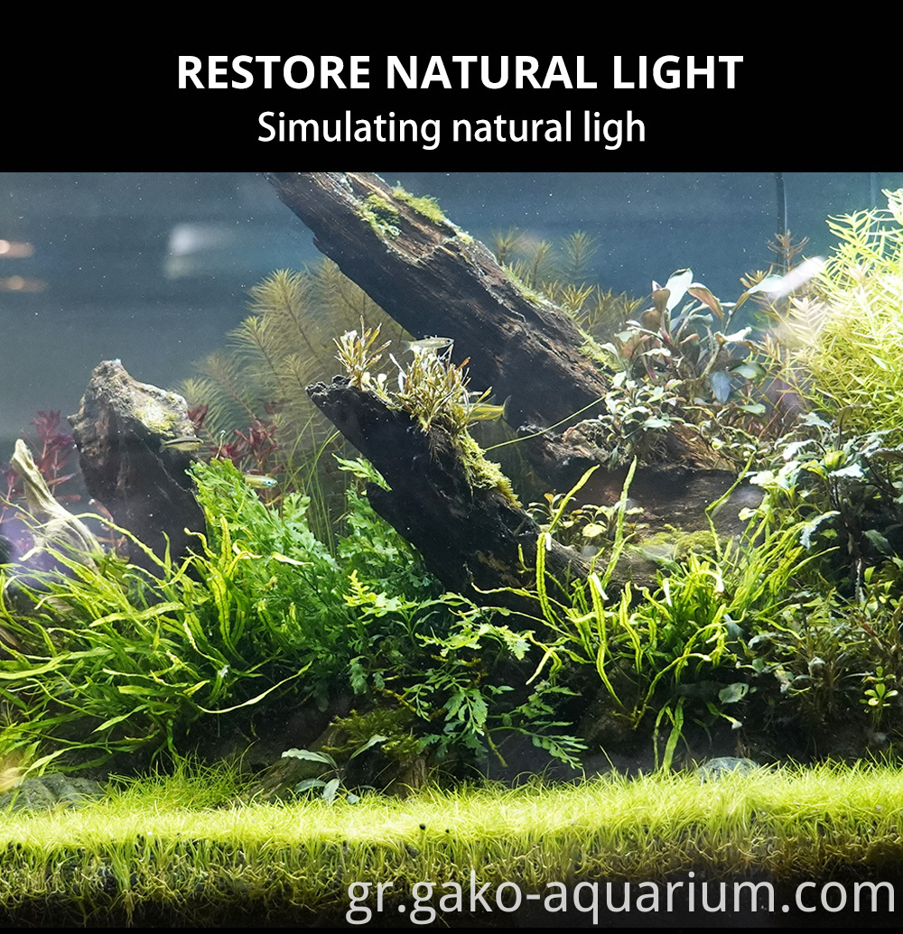 Fish Tank Led Aquarium Light 3